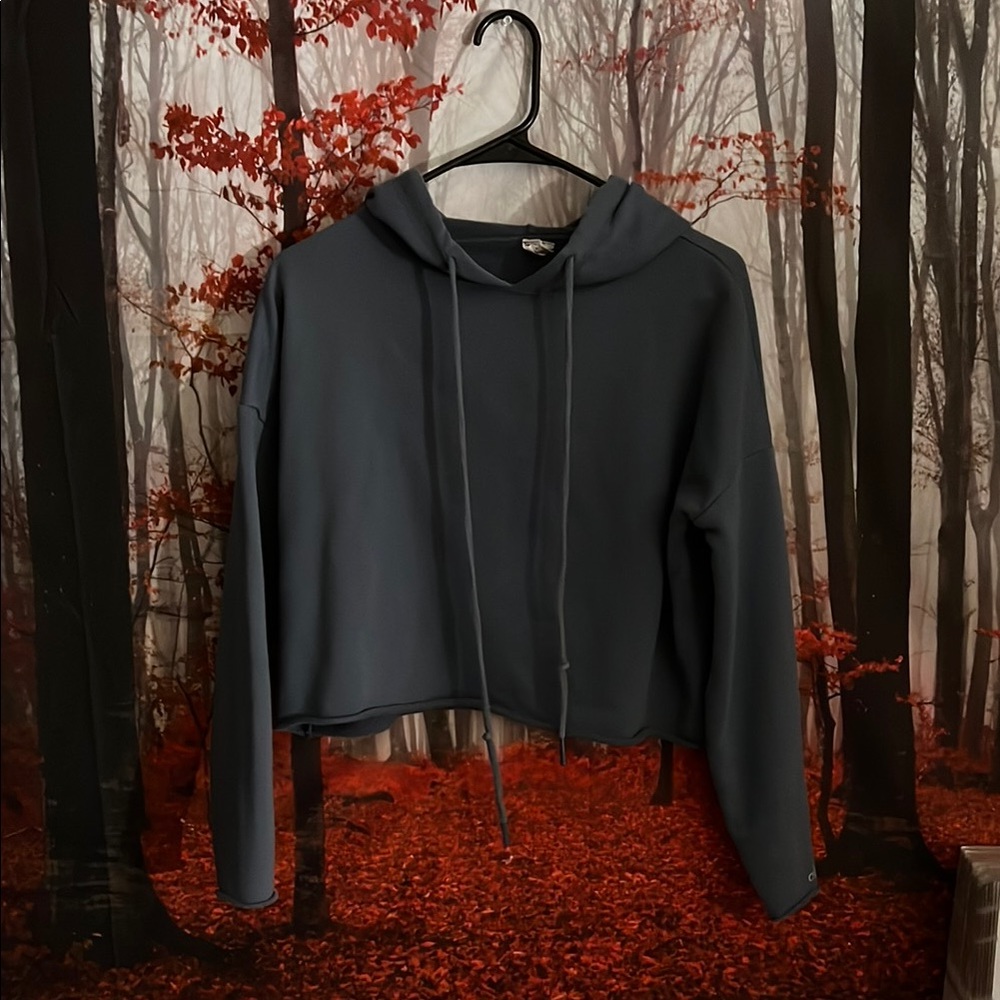 Alo Women's Gray Hoodie Top